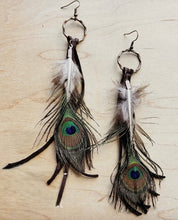 Peacock Feather Earrings