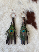 Peacock Feather Earrings